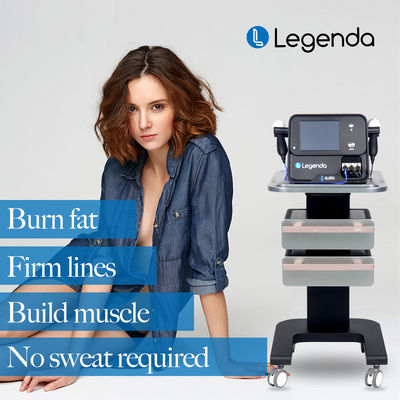448hz High Power Legenda Machine 300W Tecar Therapy Machine